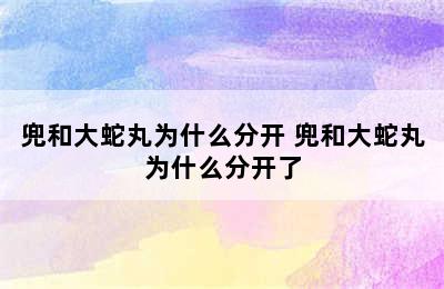 兜和大蛇丸为什么分开 兜和大蛇丸为什么分开了